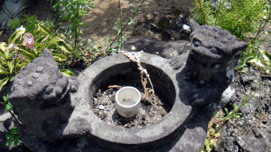 青蓮寺和み水鉢