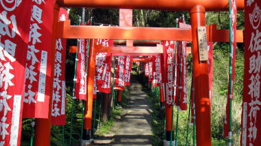 佐助稲荷神社参道3