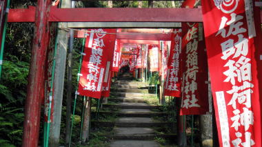 佐助稲荷神社参道4