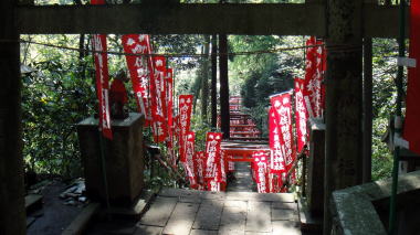 佐助稲荷神社参道7