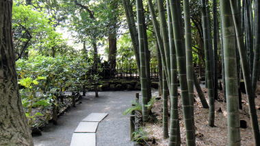 報国寺竹の庭7