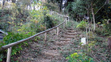 台の稲荷神社裏山1