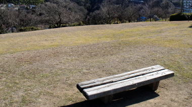 芝生のベンチ