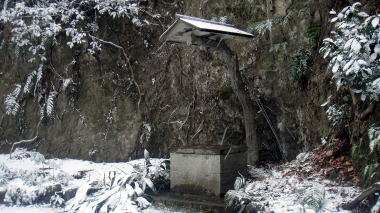 河村瑞賢の墓8
