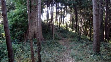 北野神社横の山道2