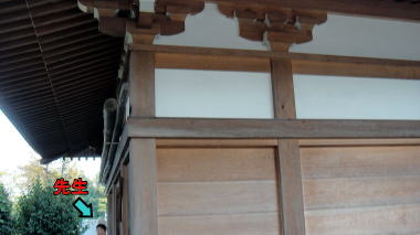 護王姫神社6