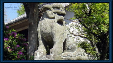 八坂大神の狛犬阿形