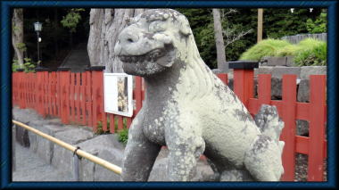 鶴岡八幡宮の狛犬吽形1